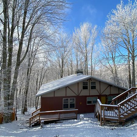 Cozy Cabin With Boosted Wi-Fi ビーチ・マウンテン エクステリア 写真